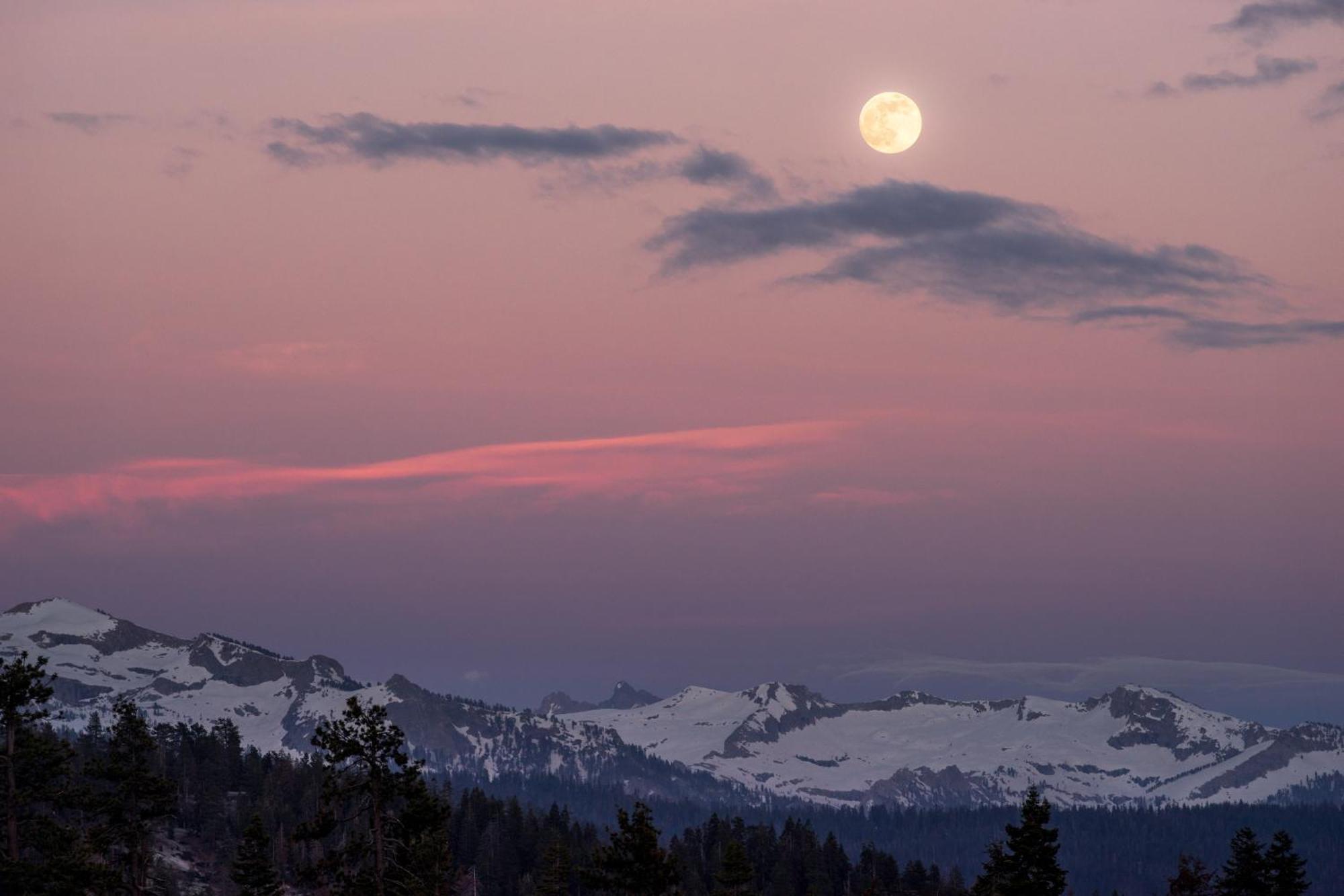 Montecito Sequoia Lodge Wilsonia ภายนอก รูปภาพ