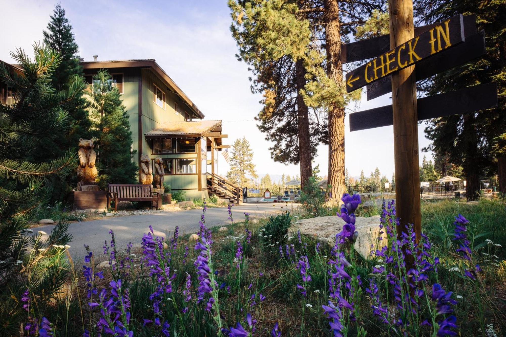Montecito Sequoia Lodge Wilsonia ภายนอก รูปภาพ