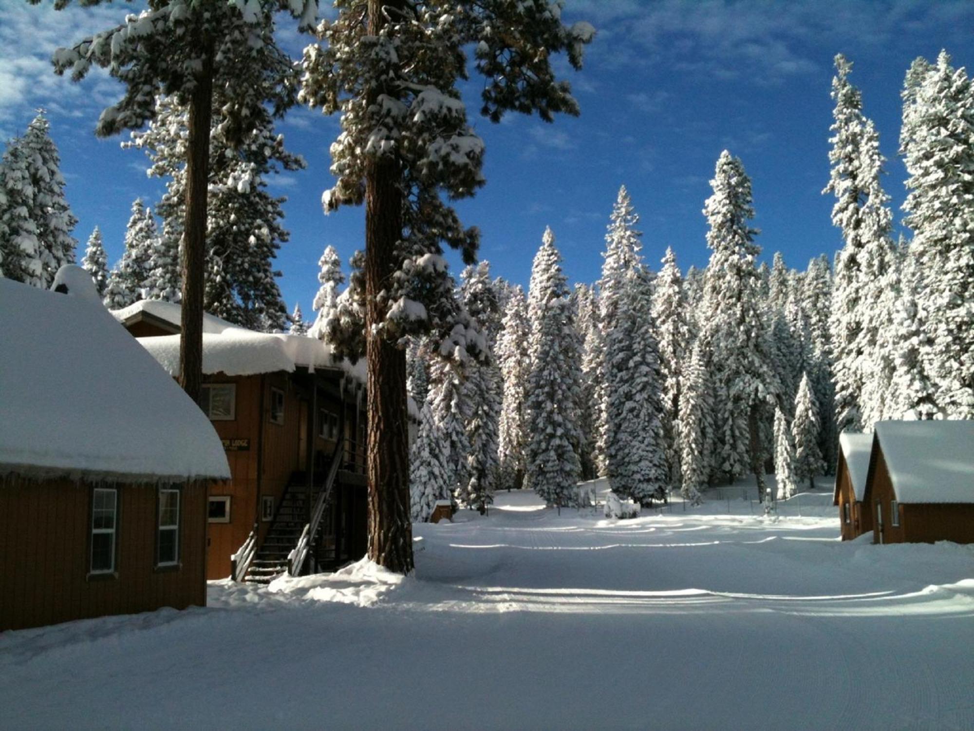 Montecito Sequoia Lodge Wilsonia ภายนอก รูปภาพ