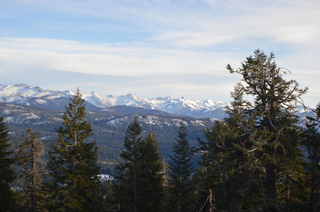 Montecito Sequoia Lodge Wilsonia ภายนอก รูปภาพ