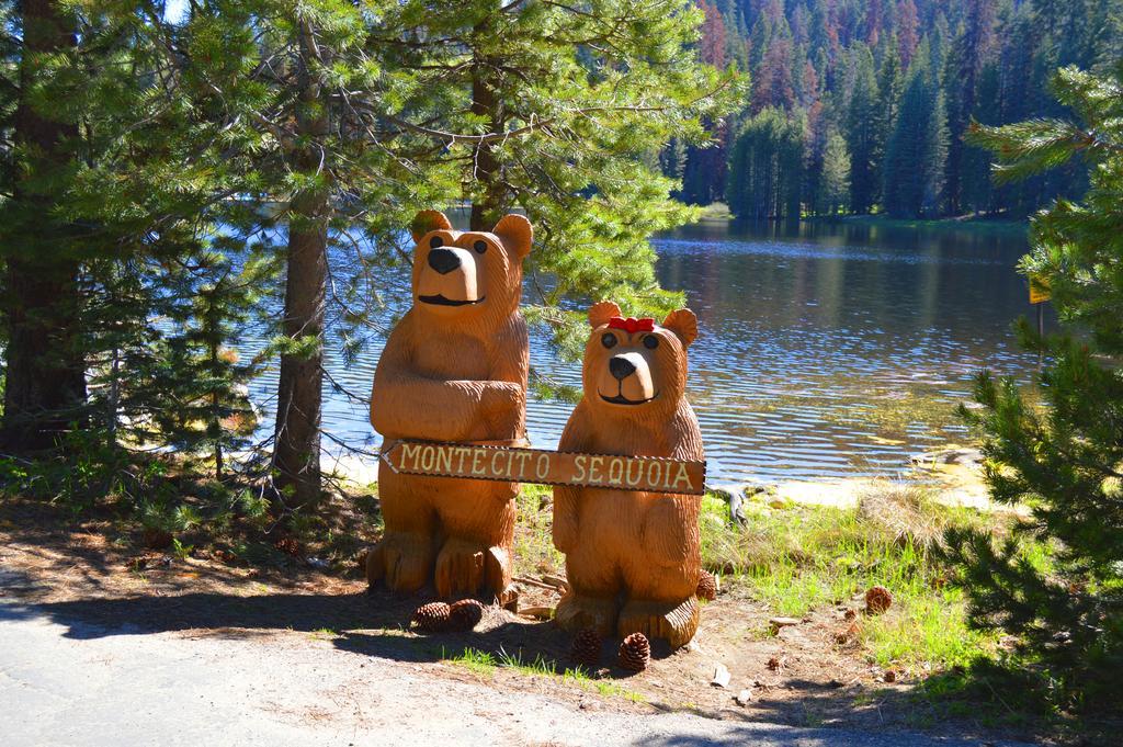 Montecito Sequoia Lodge Wilsonia ภายนอก รูปภาพ