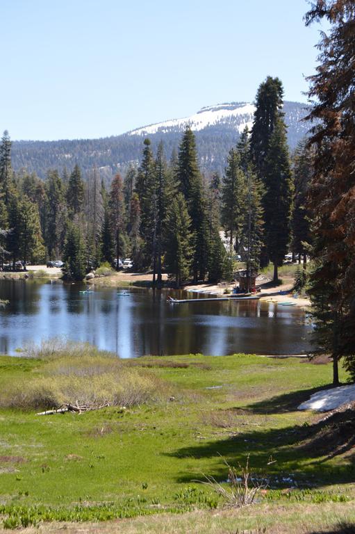 Montecito Sequoia Lodge Wilsonia ภายนอก รูปภาพ