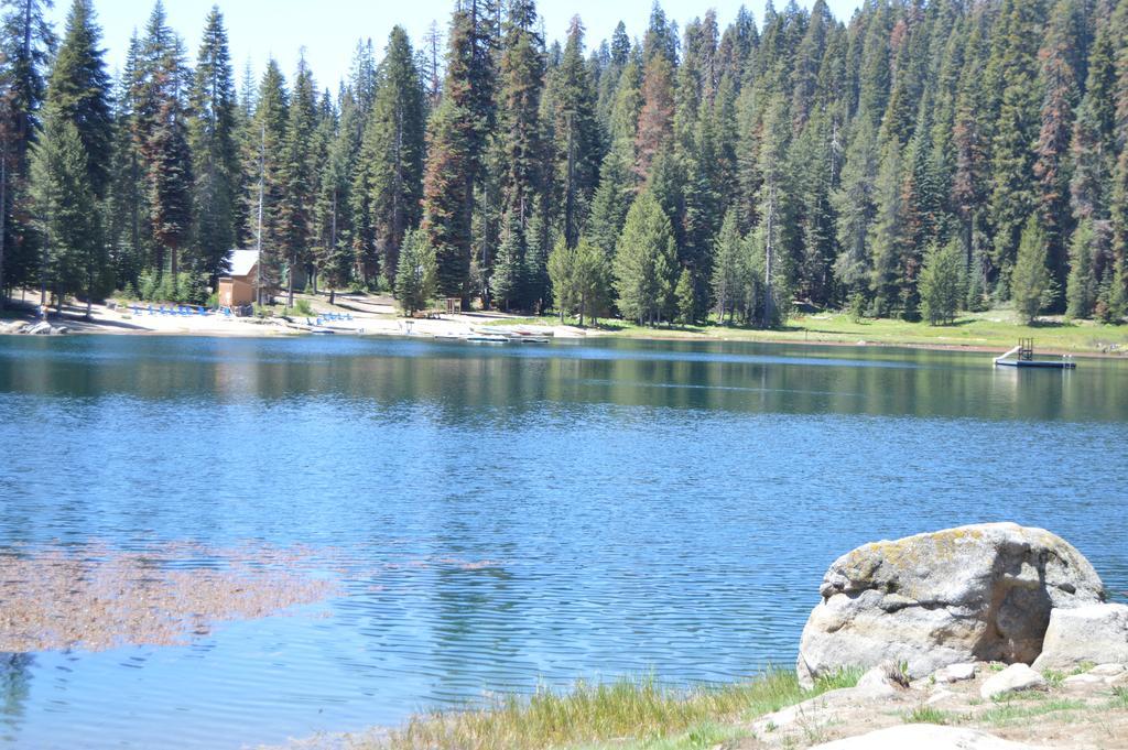 Montecito Sequoia Lodge Wilsonia ภายนอก รูปภาพ