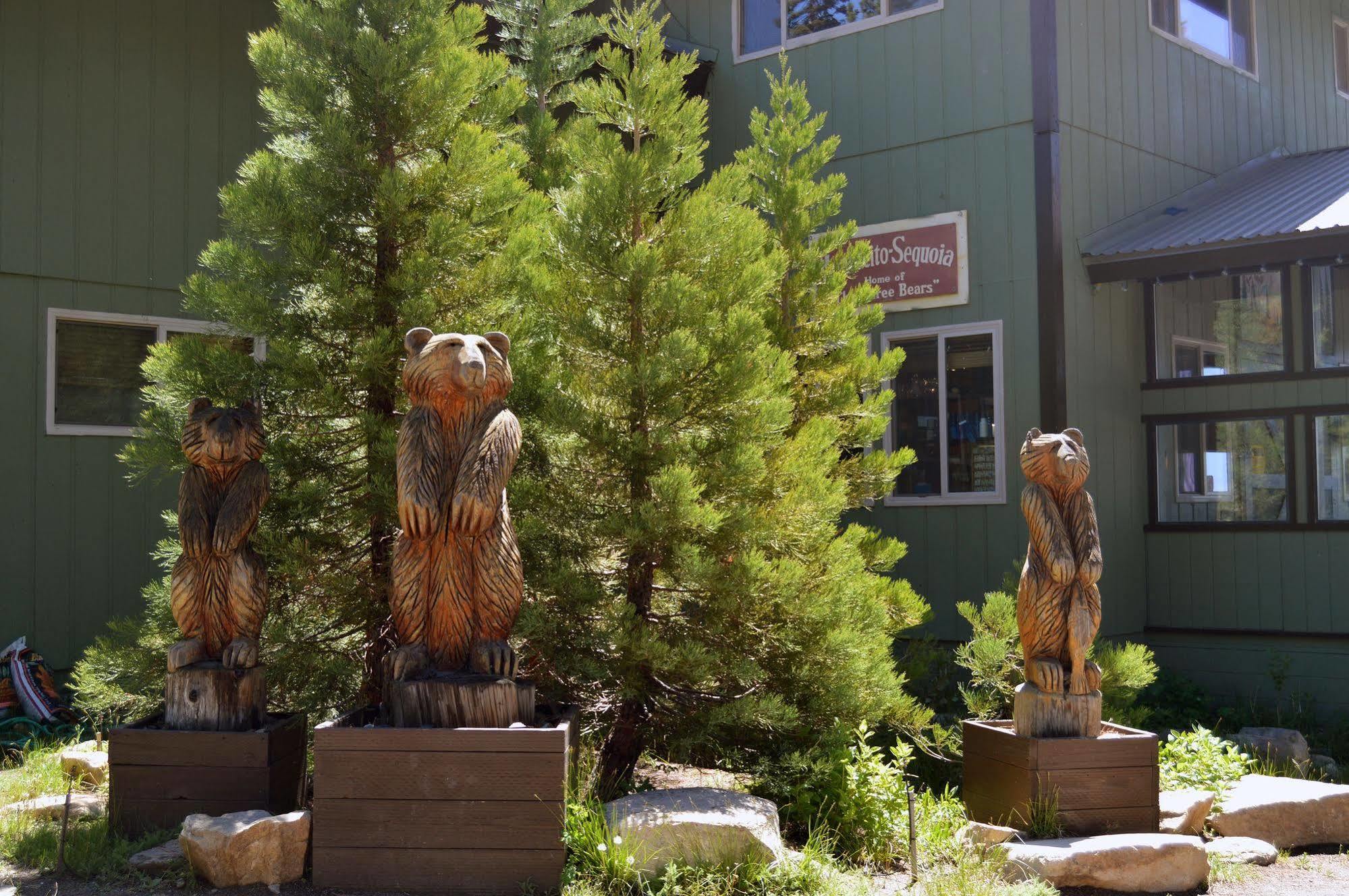 Montecito Sequoia Lodge Wilsonia ภายนอก รูปภาพ
